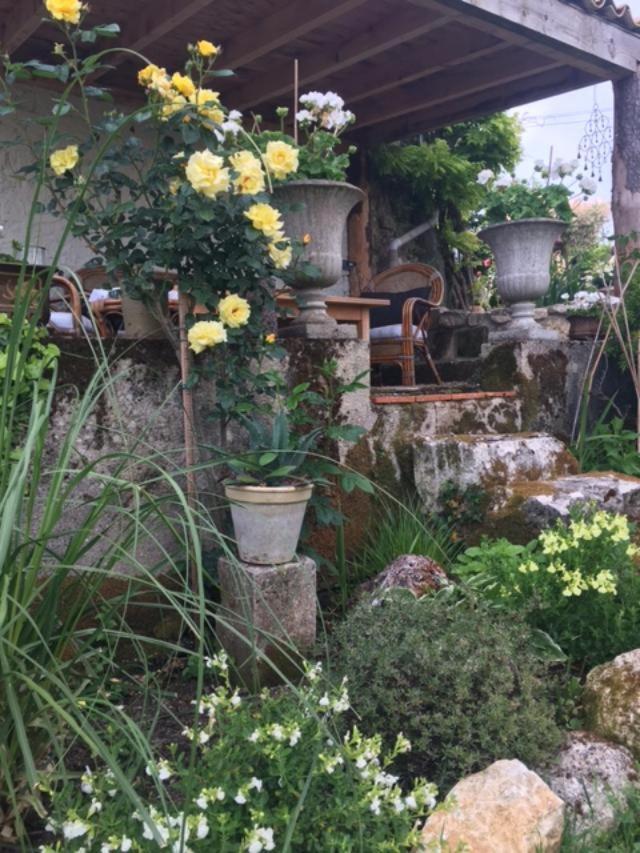Chez Brown Bed & Breakfast Saint-Thomas-de-Cônac Eksteriør bilde